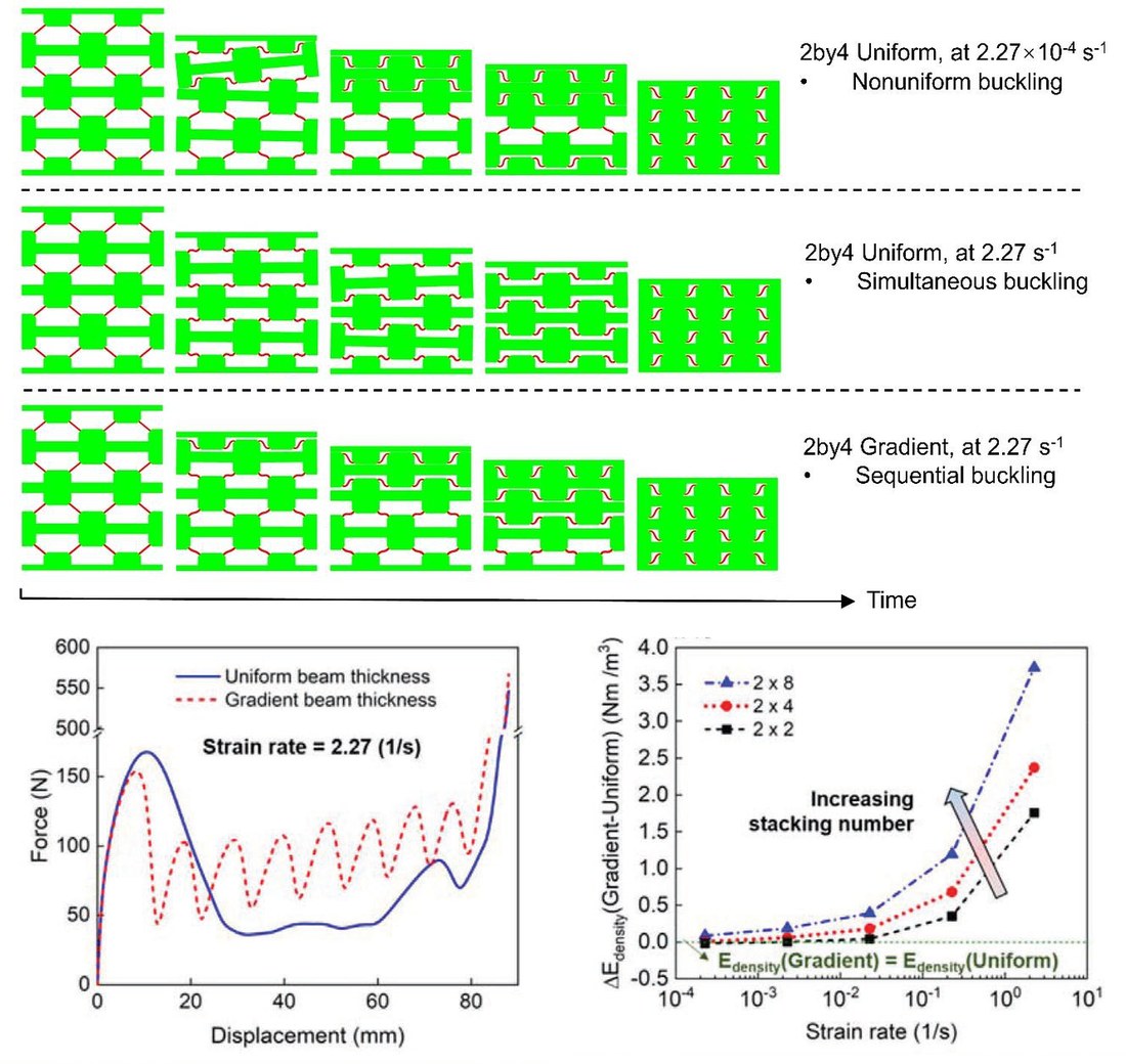 Finite-element simulations of stacked liquid crystal elastomer layers buckling nonuniformly, simultaneously, or in sequence