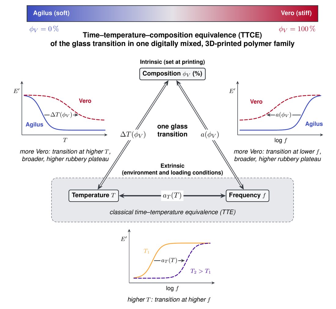 Schematic of time-temperature-composition equivalence